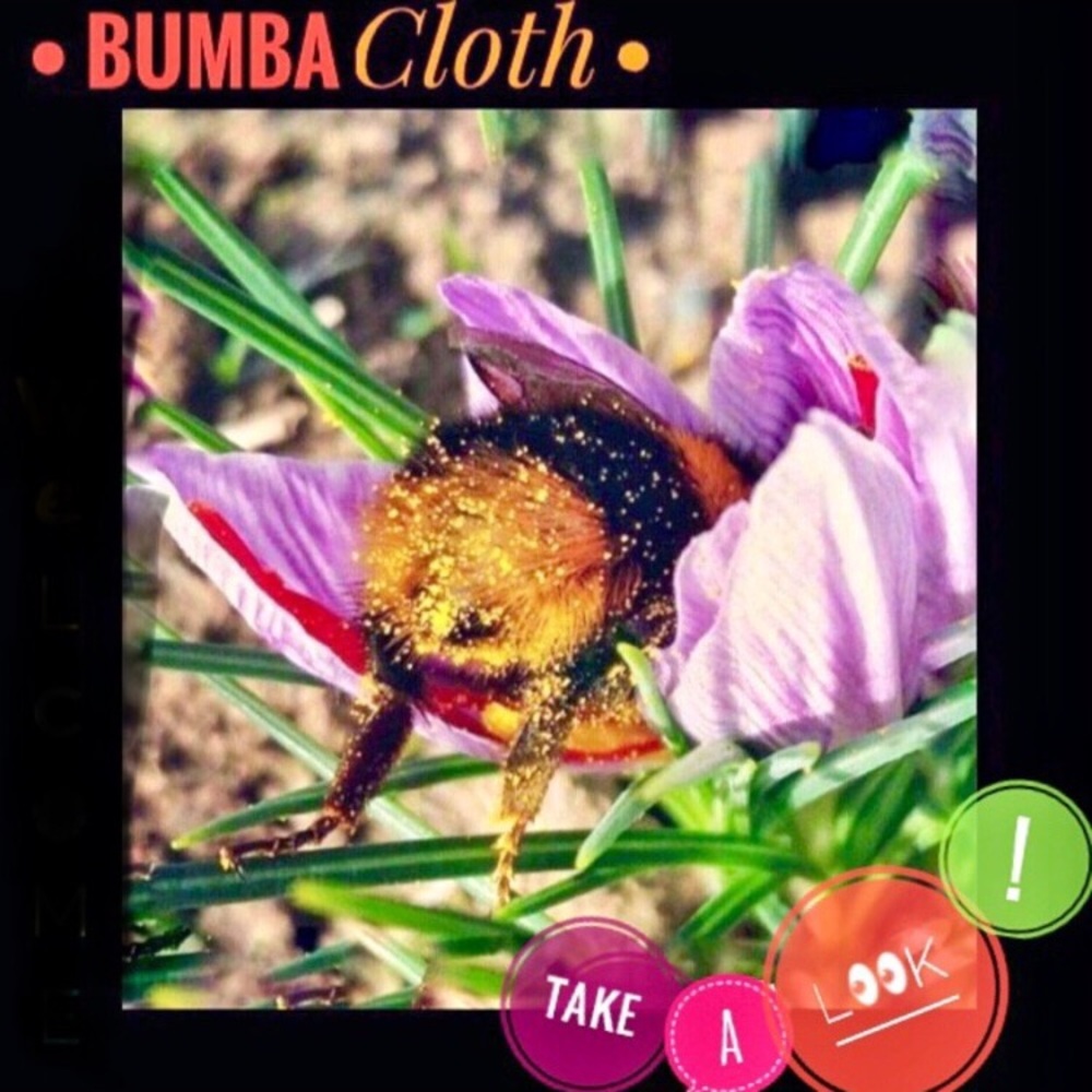 🔺🔻 🐝 •• BumbaCloth •• 🐝 🔺🔻
